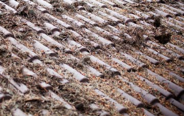 Spean Bridge roof cleaning companies