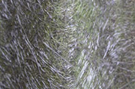 Spean Bridge fibreglass roof work